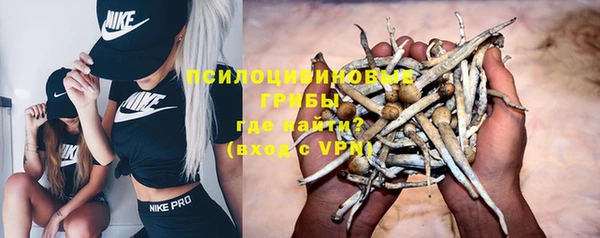альфа пвп Заволжск