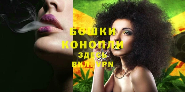 альфа пвп Заволжск